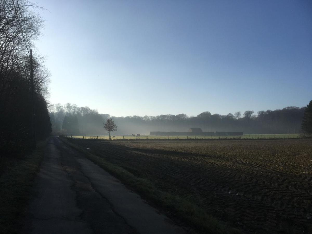 B&B Miranoza Oud-Heverlee Exteriör bild