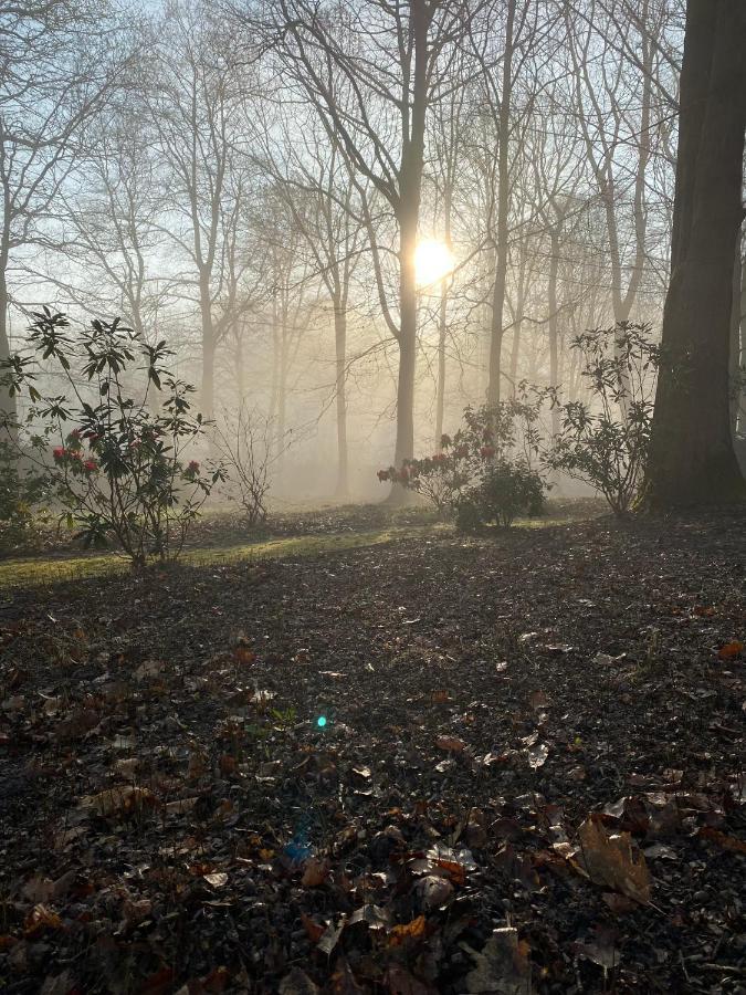 B&B Miranoza Oud-Heverlee Exteriör bild