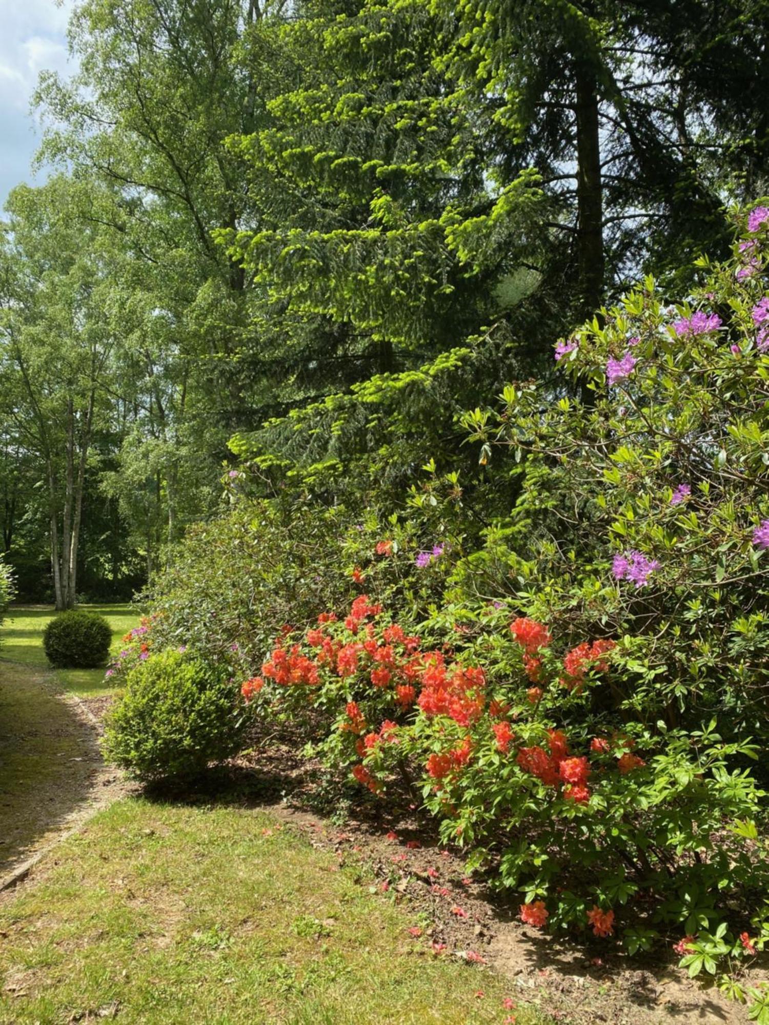 B&B Miranoza Oud-Heverlee Exteriör bild